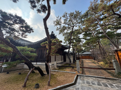 경기도 의정부시 한옥 건물 유리창 청소